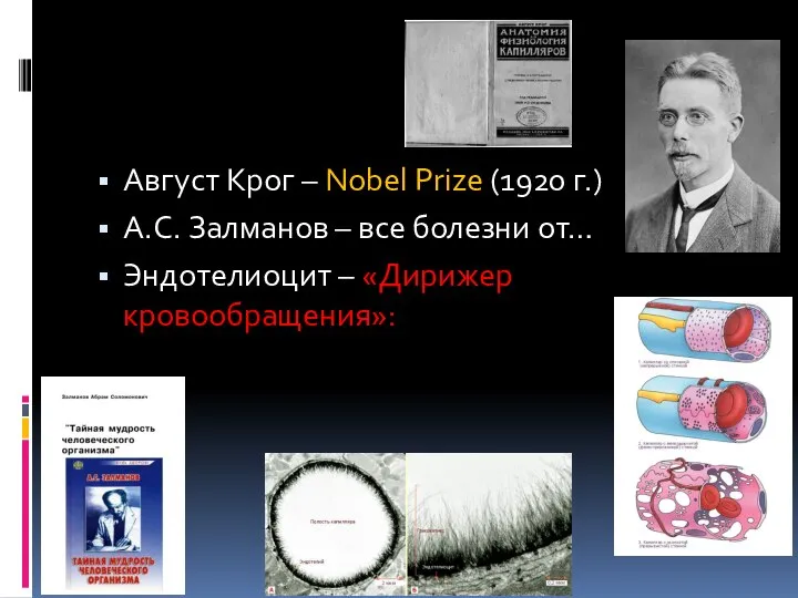 Август Крог – Nobel Prize (1920 г.) А.С. Залманов – все