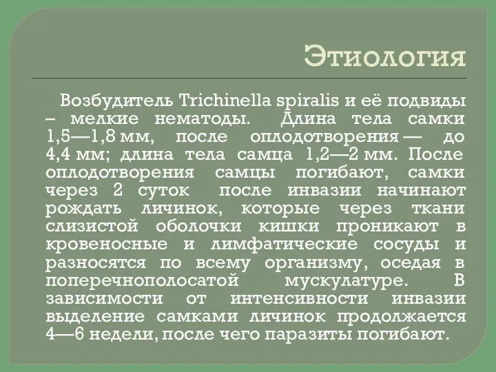 Этиология Возбудитель Trichinella spiralis и её подвиды – мелкие нематоды. Длина