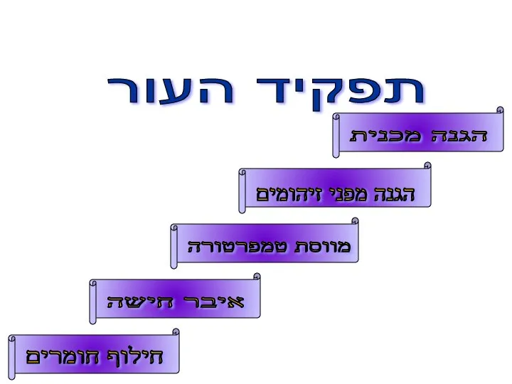 תפקיד העור