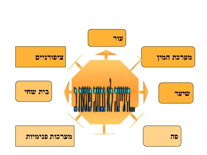 פה ציפורניים מערכת המין עור שיער בית שחי היגיינה לא נבונה פוגעת ב... מערכות פנימיות