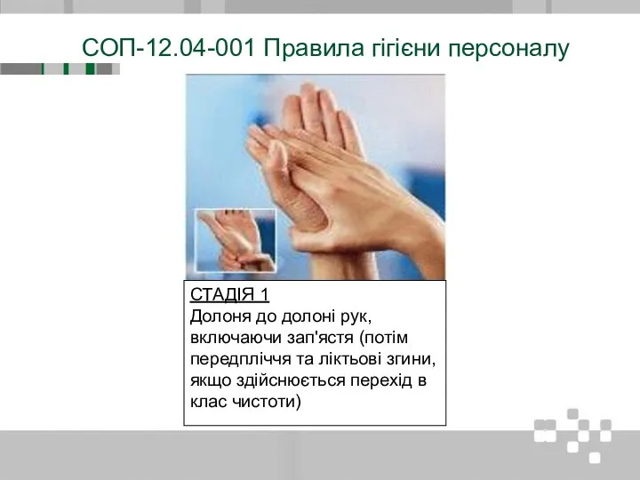 СОП-12.04-001 Правила гігієни персоналу СТАДІЯ 1 Долоня до долоні рук, включаючи