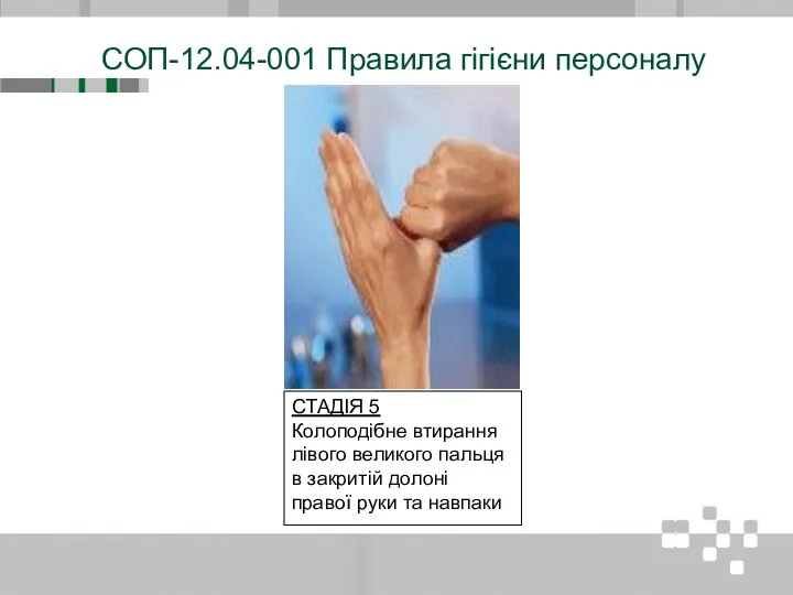 СОП-12.04-001 Правила гігієни персоналу СТАДІЯ 5 Колоподібне втирання лівого великого пальця