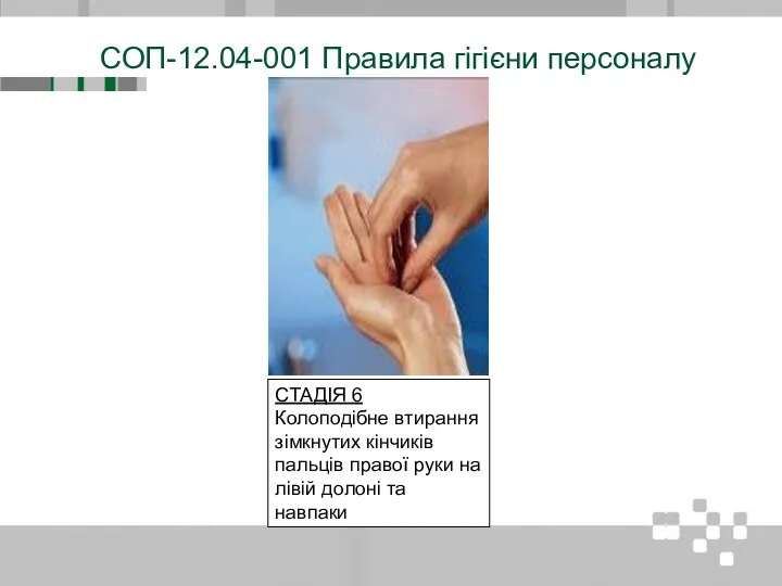 СОП-12.04-001 Правила гігієни персоналу СТАДІЯ 6 Колоподібне втирання зімкнутих кінчиків пальців