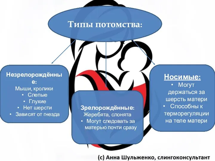 Типы потомства: Незрелорождённые: Мыши, кролики Слепые Глухие Нет шерсти Зависят от