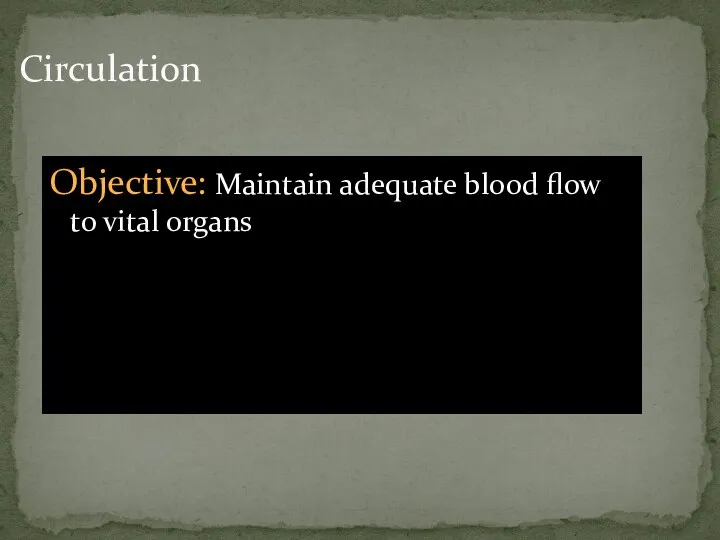 Circulation Objective: Maintain adequate blood flow to vital organs