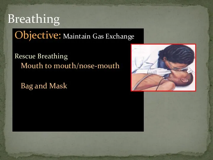 Breathing Objective: Maintain Gas Exchange Rescue Breathing Mouth to mouth/nose-mouth Bag and Mask