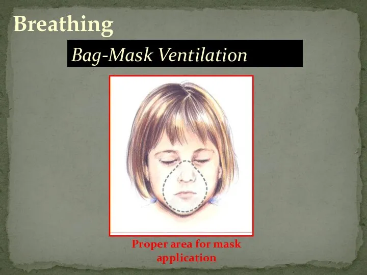 Bag-Mask Ventilation Proper area for mask application Breathing