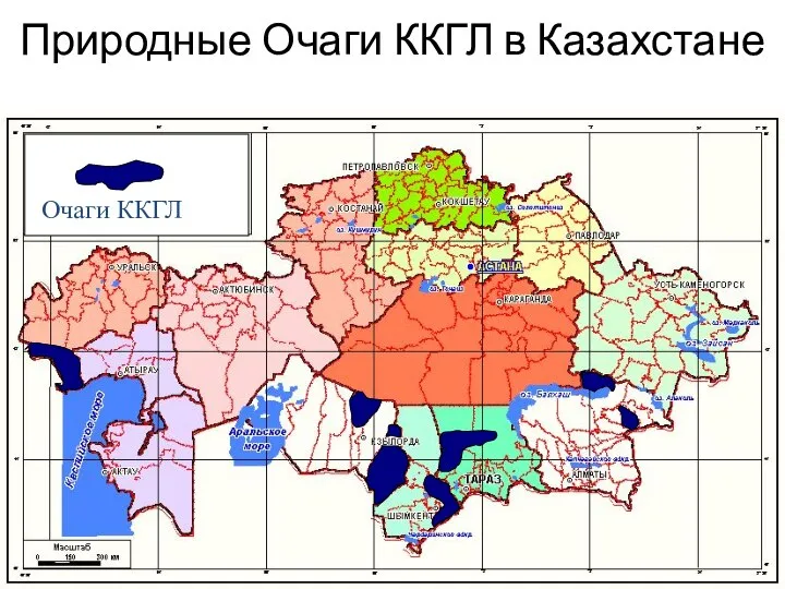 Природные Очаги ККГЛ в Казахстане Очаги ККГЛ