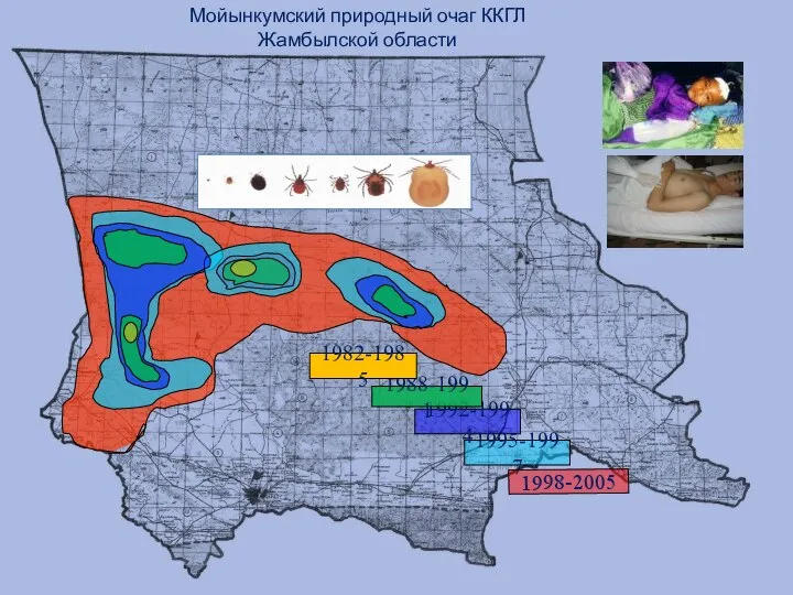 Мойынкумский природный очаг ККГЛ Жамбылской области