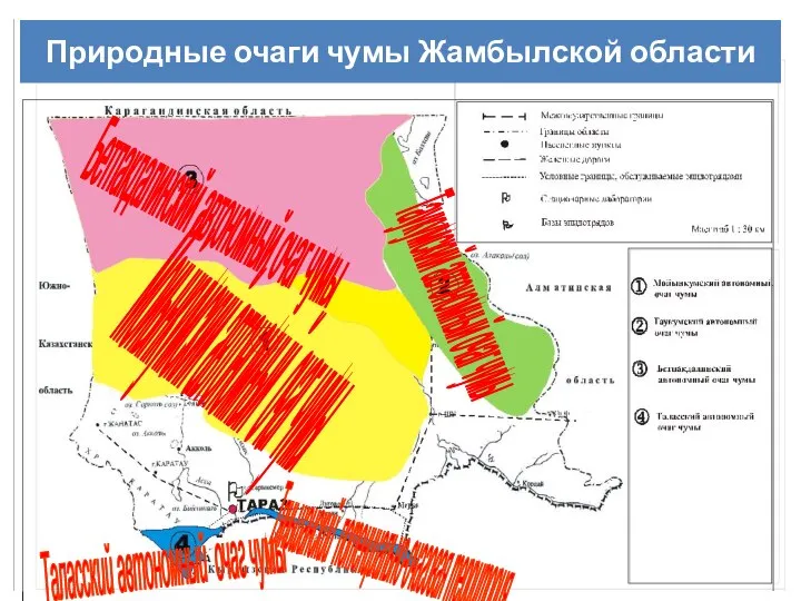 Природные очаги чумы Жамбылской области Бетпакдалинский автономный очаг чумы Таукумский автономный