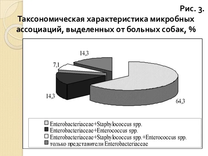 Рис. 3. Таксономическая характеристика микробных ассоциаций, выделенных от больных собак, %