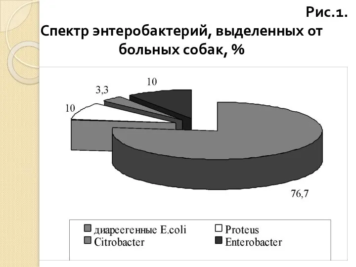 Рис.1. Спектр энтеробактерий, выделенных от больных собак, %