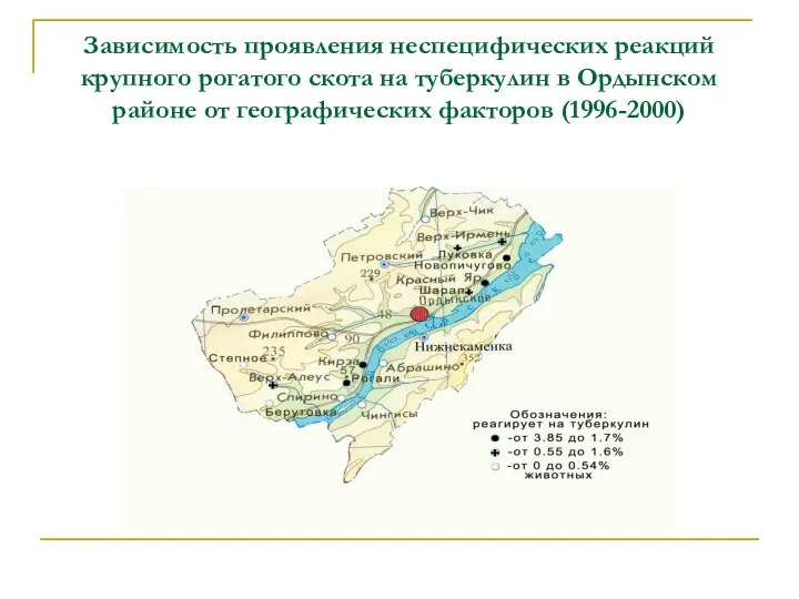 Зависимость проявления неспецифических реакций крупного рогатого скота на туберкулин в Ордынском районе от географических факторов (1996-2000)