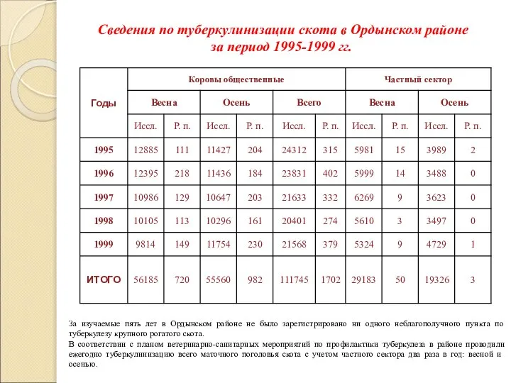 Сведения по туберкулинизации скота в Ордынском районе за период 1995-1999 гг.