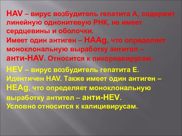 HAV – вирус возбудитель гепатита А, содержит линейную однонитевую РНК, не