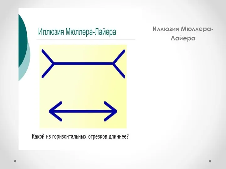 Иллюзия Мюллера-Лайера