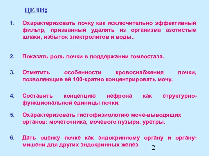 Охарактеризовать почку как исключительно эффективный фильтр, призванный удалять из организма азотистые