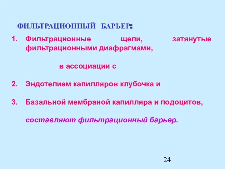 Фильтрационные щели, затянутые фильтрационными диафрагмами, в ассоциации с Эндотелием капилляров клубочка