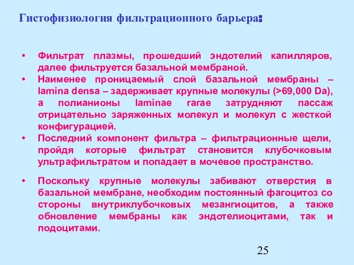 Поскольку крупные молекулы забивают отверстия в базальной мембране, необходим постоянный фагоцитоз