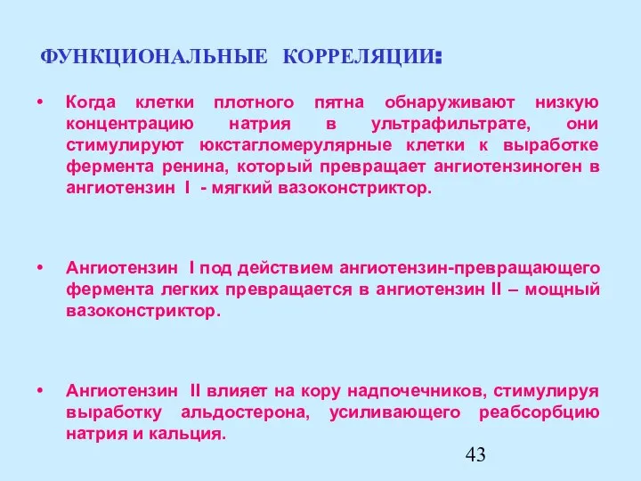 Ангиотензин II влияет на кору надпочечников, стимулируя выработку альдостерона, усиливающего реабсорбцию