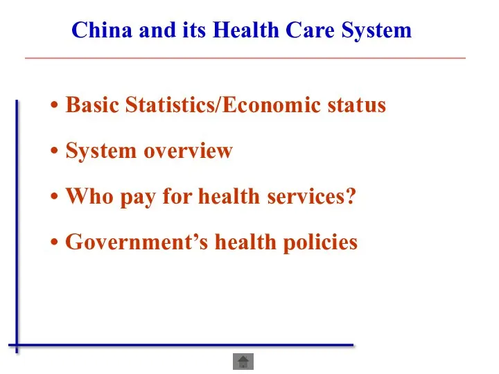 Basic Statistics/Economic status System overview Who pay for health services? Government’s