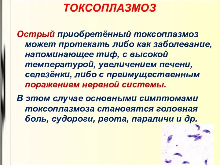 ТОКСОПЛАЗМОЗ Острый приобретённый токсоплазмоз может протекать либо как заболевание, напоминающее тиф,