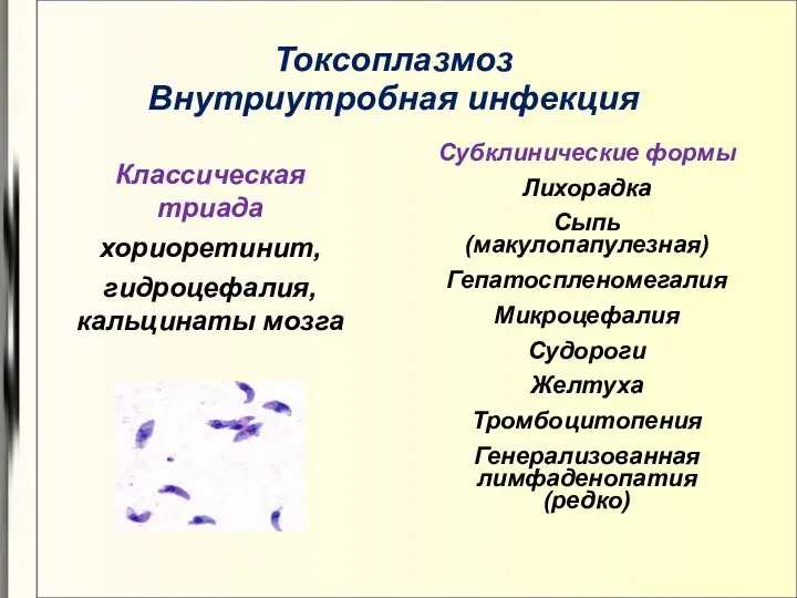 Токсоплазмоз Внутриутробная инфекция Субклинические формы Лихорадка Сыпь (макулопапулезная) Гепатоспленомегалия Микроцефалия Судороги