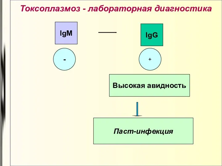 Токсоплазмоз - лабораторная диагностика - + IgM IgG Высокая авидность Паст-инфекция