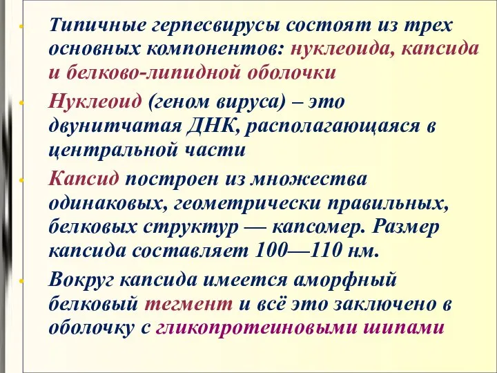 Типичные герпесвирусы состоят из трех основных компонентов: нуклеоида, капсида и белково-липидной