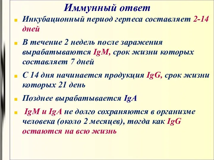 Иммунный ответ Инкубационный период герпеса составляет 2-14 дней В течение 2