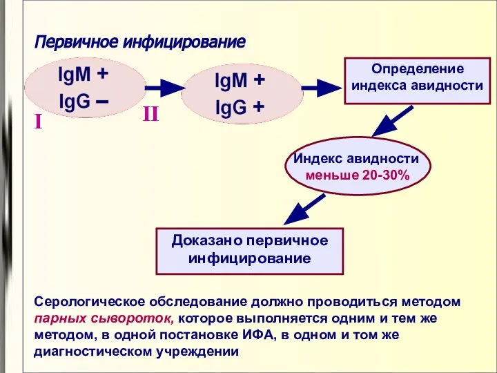 Первичное инфицирование Определение индекса авидности I II Индекс авидности меньше 20-30%