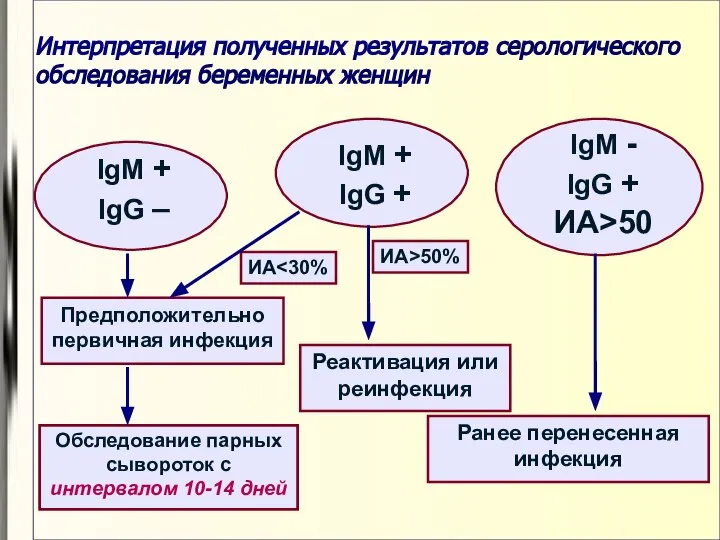 Интерпретация полученных результатов серологического обследования беременных женщин IgM + IgG –