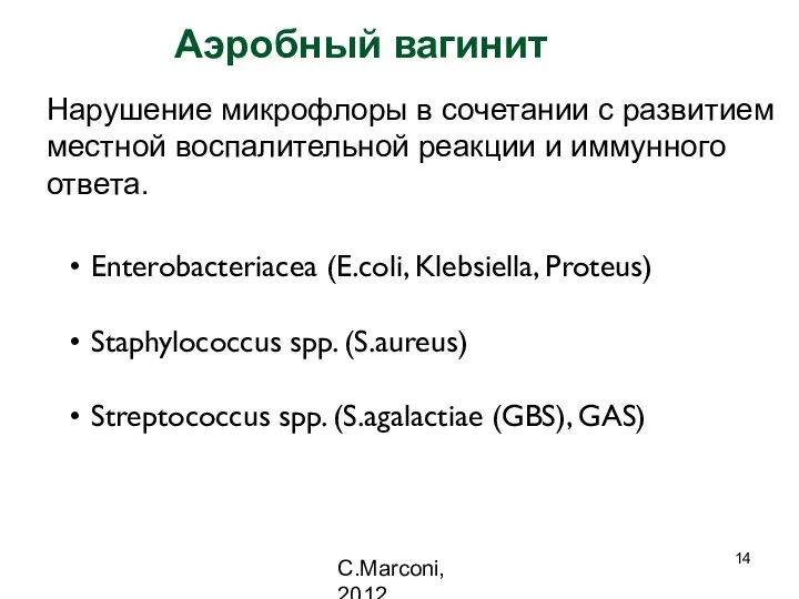 Аэробный вагинит Нарушение микрофлоры в сочетании с развитием местной воспалительной реакции