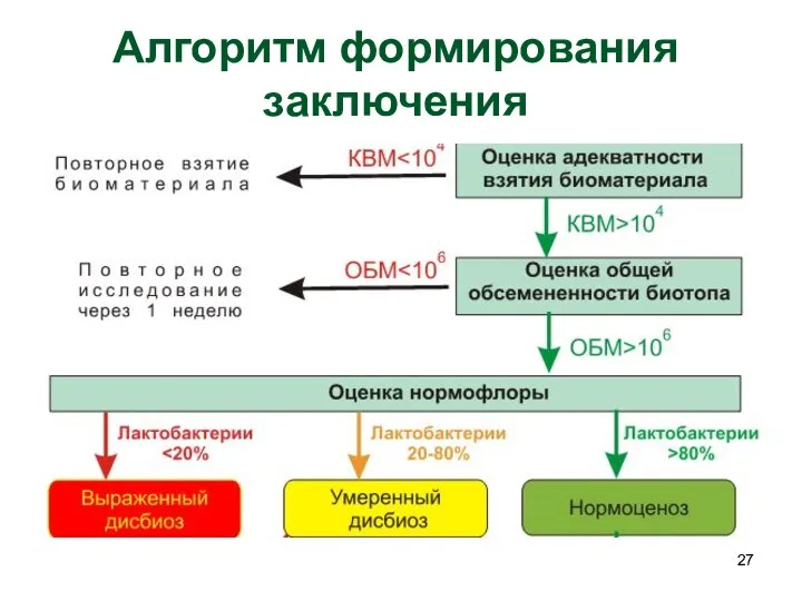 Алгоритм формирования заключения