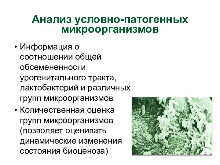 Анализ условно-патогенных микроорганизмов Информация о соотношении общей обсемененности урогенитального тракта, лактобактерий