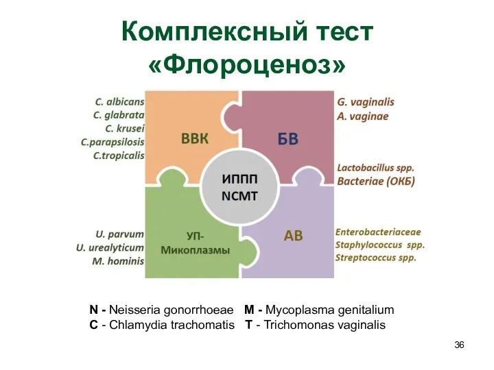 Комплексный тест «Флороценоз» N - Neisseria gonorrhoeae M - Mycoplasma genitalium