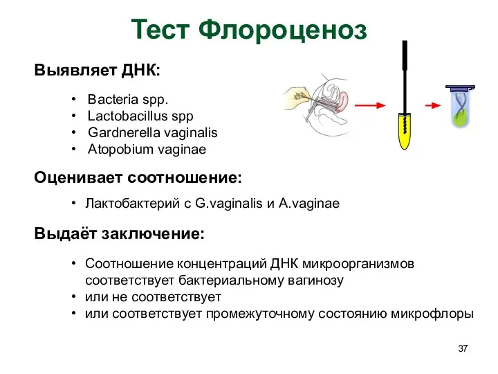 Тест Флороценоз Выявляет ДНК: Bacteria spp. Lactobacillus spp Gardnerella vaginalis Atopobium