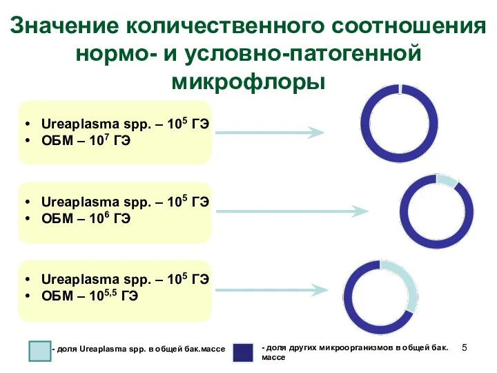 Значение количественного соотношения нормо- и условно-патогенной микрофлоры Ureaplasma spp. – 105