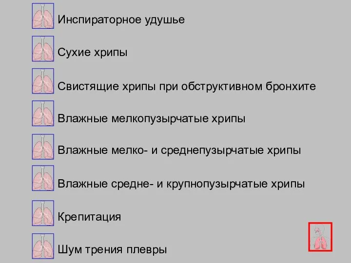 Сухие хрипы Инспираторное удушье Свистящие хрипы при обструктивном бронхите Влажные мелкопузырчатые