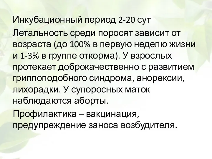 Инкубационный период 2-20 сут Летальность среди поросят зависит от возраста (до