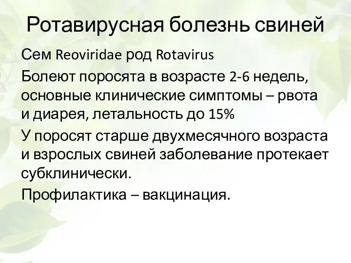 Ротавирусная болезнь свиней Сем Reoviridae род Rotavirus Болеют поросята в возрасте