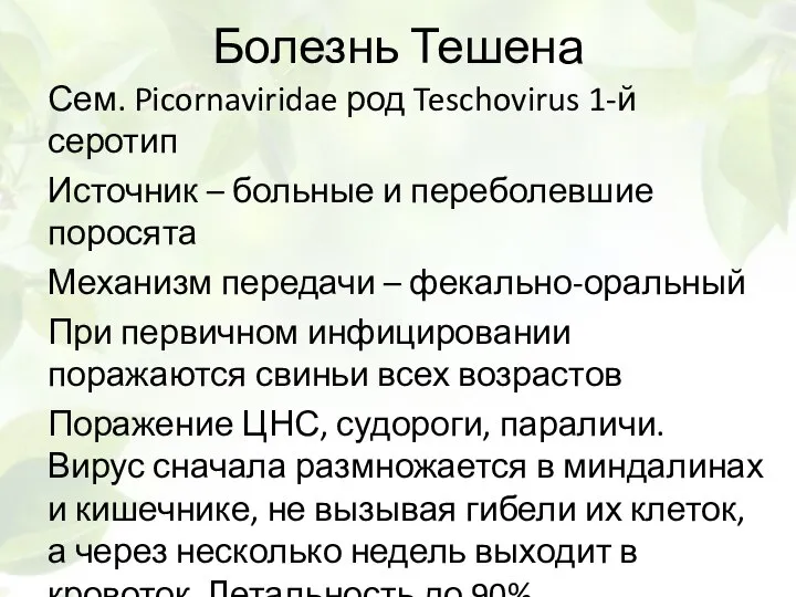 Болезнь Тешена Сем. Picornaviridae род Teschovirus 1-й серотип Источник – больные