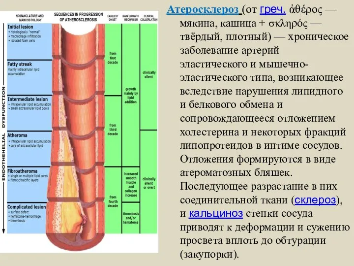 Атеросклероз (от греч. ἀθέρος — мякина, кашица + σκληρός — твёрдый,