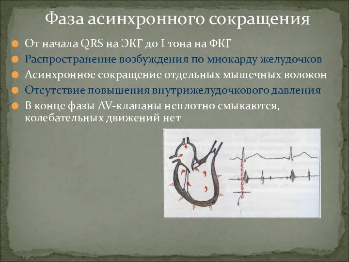 От начала QRS на ЭКГ до I тона на ФКГ Распространение