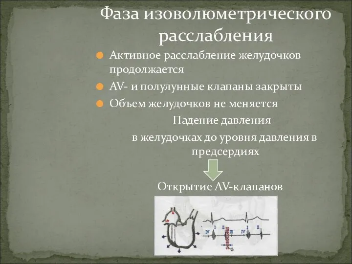 Активное расслабление желудочков продолжается AV- и полулунные клапаны закрыты Объем желудочков