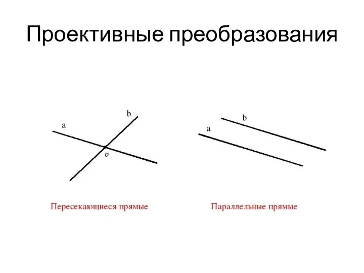 Проективные преобразования