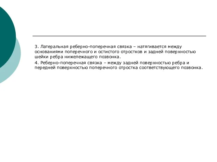 3. Латеральная реберно-поперечная связка – натягивается между основаниями поперечного и остистого