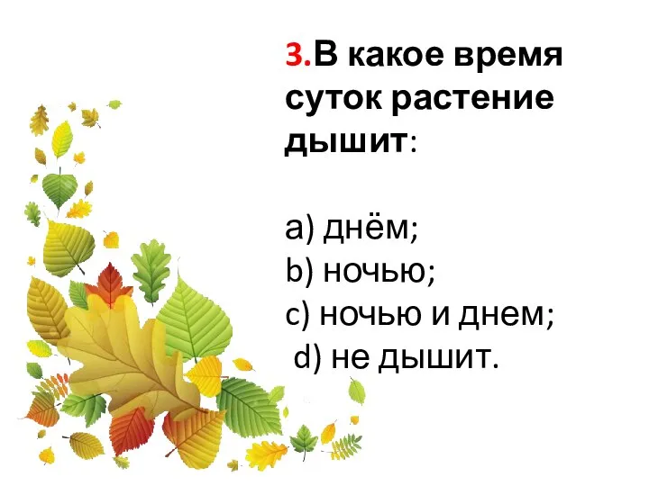 3.В какое время суток растение дышит: а) днём; b) ночью; c)