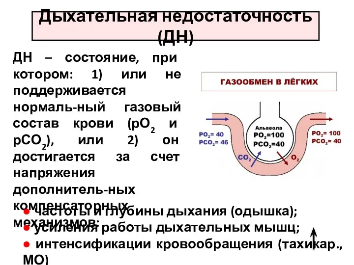 Дыхательная недостаточность (ДН) ДН – состояние, при котором: 1) или не