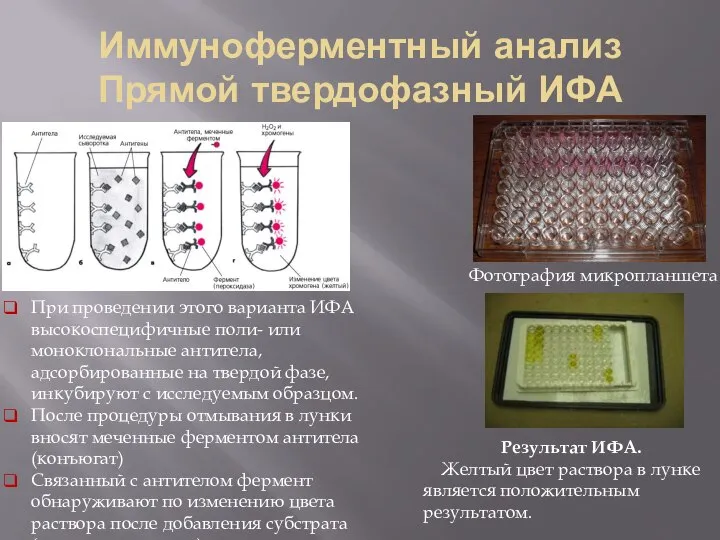 Иммуноферментный анализ Прямой твердофазный ИФА Результат ИФА. Желтый цвет раствора в